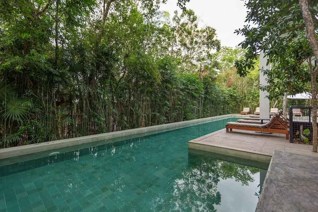 Stunning 4Br - Rooftop Pool, 5 Mins To Beach Τουλούμ