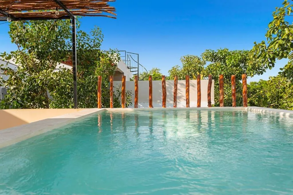 Stunning 4Br - Rooftop Pool, 5 Mins To Beach تولوم 0*,